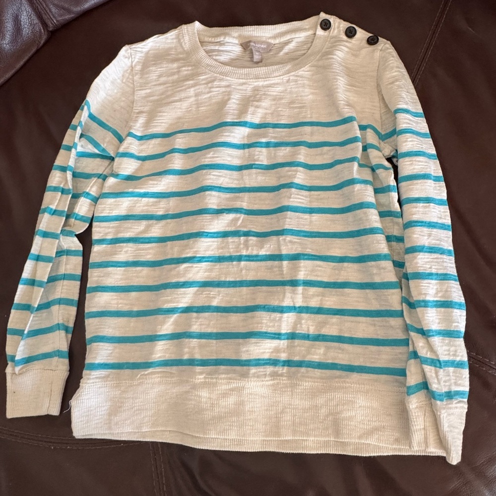 Banana Republic  Adult Striped Sweater - Cream and Blue